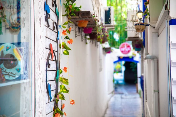 터키의 보드룸 시에서 거리와 보드룸의 스타일 다채로운 — 스톡 사진