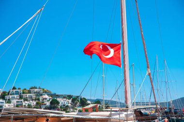 Bodrum Sahili, Ege Denizi, geleneksel beyaz evler, çiçekler, marina, Bodrum kasabası Türkiye 'de yelkenli tekneler, yatlar.
