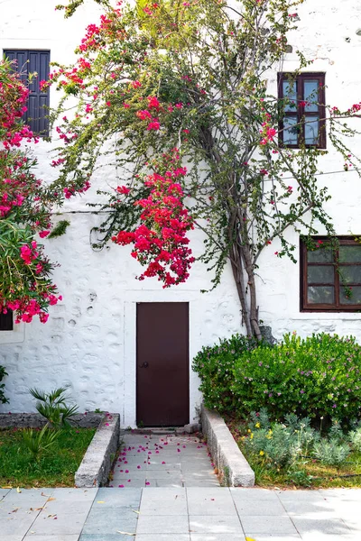 Kilátás Hal Étterem Vagy Kávézó Valamint Bougainvillea Virágok Bodrum Strandon — Stock Fotó