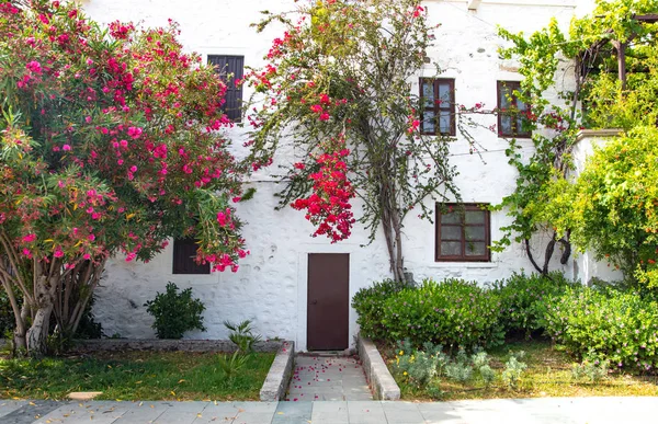 Kilátás Hal Étterem Vagy Kávézó Valamint Bougainvillea Virágok Bodrum Strandon — Stock Fotó