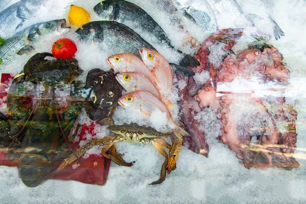 Frutti Mare Ghiacciati Mercato Del Pesce Pesci Muggine Rossi Freschi — Foto Stock