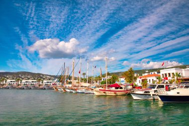 Türkiye'nin Bodrum kenti Gumusluk'ta Bodrum sahilinde balık restoranı veya kafe ve begonviller çiçeği manzarası. Güzel Ege Denizi'ne yakın Bodrum ilçesinde Ege sahil tarzı renkli sandalyeler, evler, marina, yelkenli tekneler, yatlar, masalar ve çiçekler.