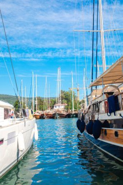 Türkiye'nin Bodrum kenti Gumusluk'ta Bodrum sahilinde balık restoranı veya kafe ve begonviller çiçeği manzarası. Güzel Ege Denizi'ne yakın Bodrum ilçesinde Ege sahil tarzı renkli sandalyeler, evler, marina, yelkenli tekneler, yatlar, masalar ve çiçekler.