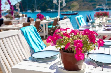 Türkiye'nin Bodrum kenti Gumusluk'ta Bodrum sahilinde balık restoranı veya kafe ve begonviller çiçeği manzarası. Güzel Ege Denizi'ne yakın Bodrum ilçesinde Ege sahil tarzı renkli sandalyeler, evler, marina, yelkenli tekneler, yatlar, masalar ve çiçekler.