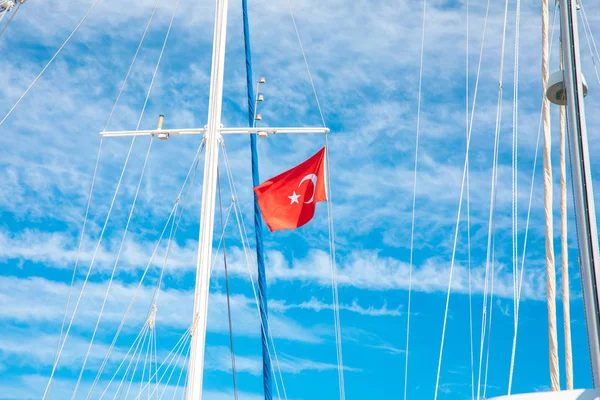 Türkiye'nin Bodrum kenti Gumusluk'ta Bodrum sahilinde balık restoranı veya kafe ve begonviller çiçeği manzarası. Güzel Ege Denizi'ne yakın Bodrum ilçesinde Ege sahil tarzı renkli sandalyeler, evler, marina, yelkenli tekneler, yatlar, masalar ve çiçekler.