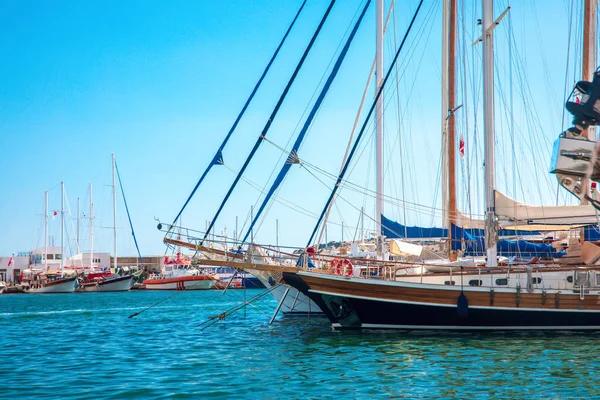 Kilátás Hal Étterem Vagy Kávézó Valamint Bougainvillea Virágok Bodrum Strandon — Stock Fotó