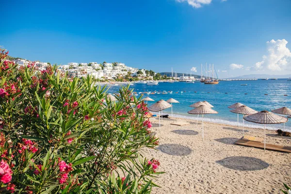 View Bodrum Beach Aegean Sea Traditional White Houses Flowers Marina — Stock Photo, Image