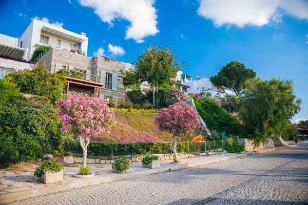 Utsikt Över Fiskrestaurang Eller Kafé Och Bougainvillea Blommor Bodrum Beach — Stockfoto