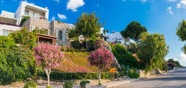 Vista Del Ristorante Pesce Caffè Fiori Bougainvillea Sulla Spiaggia Bodrum — Foto Stock