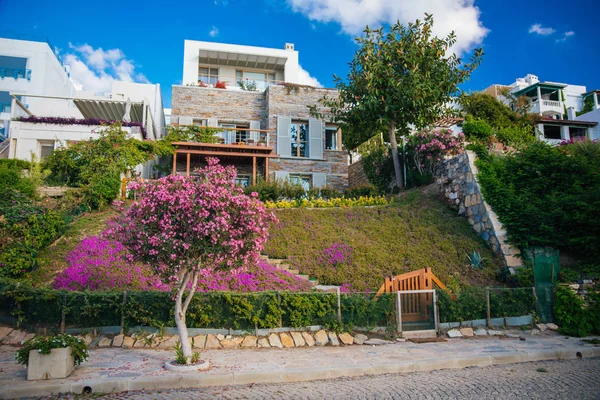 Utsikt Över Fiskrestaurang Eller Kafé Och Bougainvillea Blommor Bodrum Beach — Stockfoto