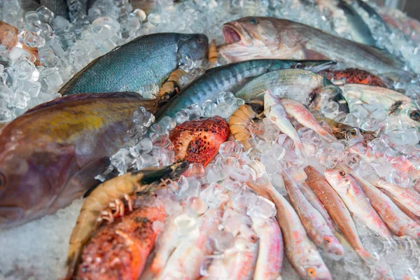 Seafood Ice Fish Market Fresh Raw Red Mullet Fishes Ice — Stock Photo, Image