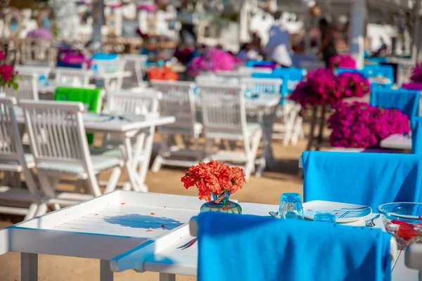 Utsikt Över Fiskrestaurang Eller Kafé Och Bougainvillea Blommor Bodrum Beach — Stockfoto