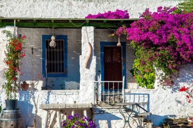 Türkiye'nin Bodrum kenti Gumusluk'ta Bodrum sahilinde balık restoranı veya kafe ve begonviller çiçeği manzarası. Güzel Ege Denizi'ne yakın Bodrum ilçesinde Ege sahil tarzı renkli sandalyeler, evler, marina, yelkenli tekneler, yatlar, masalar ve çiçekler.