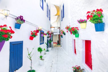 Bodrum'da beyaz sokak ve çiçeklerin manzarası. Bodrum sahilinde Ege tarzı renkli sokak, duvar, ev ve çiçekler.