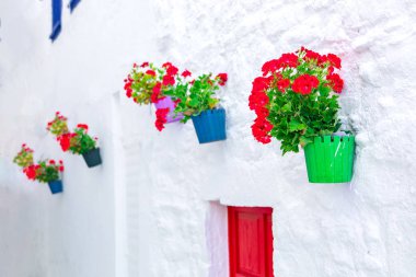 Bodrum'da beyaz sokak ve çiçeklerin manzarası. Bodrum sahilinde Ege tarzı renkli sokak, duvar, ev ve çiçekler.
