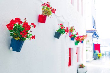 Bodrum'da beyaz sokak ve çiçeklerin manzarası. Bodrum sahilinde Ege tarzı renkli sokak, duvar, ev ve çiçekler.