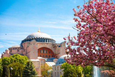 Türkiye'nin İstanbul şehrinde Ayasofya Müzesi, Kilisesi veya Camii. 