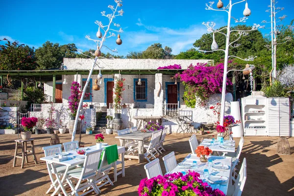 Utsikt Över Fiskrestaurang Eller Kafé Och Bougainvillea Blommor Bodrum Beach — Stockfoto