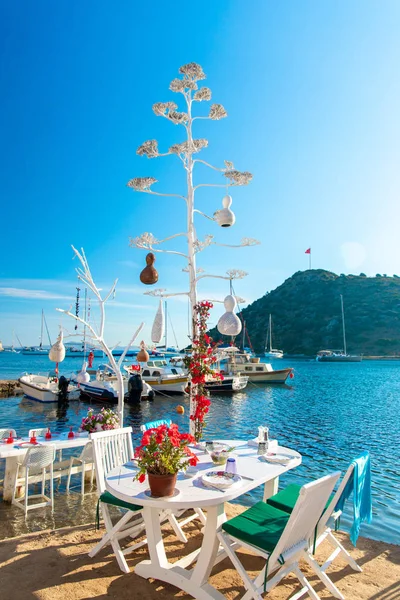 Türkiye'nin Bodrum kenti Gumusluk'ta Bodrum sahilinde balık restoranı veya kafe ve begonviller çiçeği manzarası. Güzel Ege Denizi'ne yakın Bodrum ilçesinde Ege sahil tarzı renkli sandalyeler, evler, marina, yelkenli tekneler, yatlar, masalar ve çiçekler.