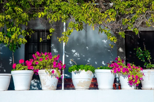 View of fish restaurant or cafe and bougainvillea flowers on Bodrum beach in Gumusluk, Bodrum city of Turkey. Aegean seaside style colorful chairs,houses, marina, sailing boats, yachts, tables and flowers in Bodrum town near beautiful Aegean Sea.