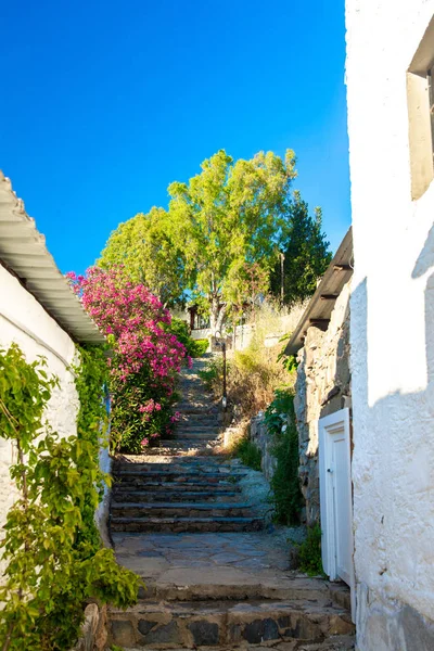 Utsikt Över Fiskrestaurang Eller Kafé Och Bougainvillea Blommor Bodrum Beach — Stockfoto