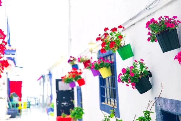 보드룸 마을에서 거리와 보드룸 해변의 스타일 다채로운 — 스톡 사진