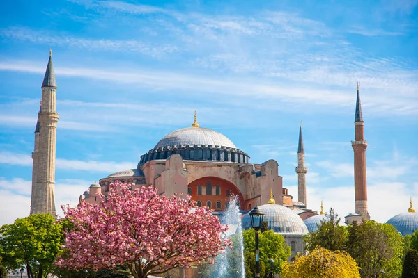 Türkiye'nin İstanbul şehrinde Ayasofya Müzesi, Kilisesi veya Camii. 