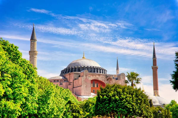 Türkiye'nin İstanbul şehrinde Ayasofya Müzesi, Kilisesi veya Camii. 