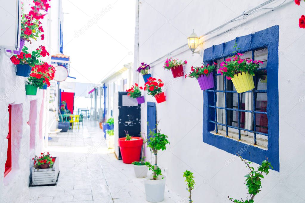 View of white street and flowers in Bodrum city or town of Turkey. Aegean style colorful street, wall, house and flowers in Bodrum beach.