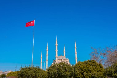 Adana'da palmiye ağaçlarıyla İslam Camii, Türkiye'nin Seyhan ilçesinde mavi gökyüzü adana'ya seyahat edin. Sabancı Merkez Camii. İslam ve Müslüman sembolü.