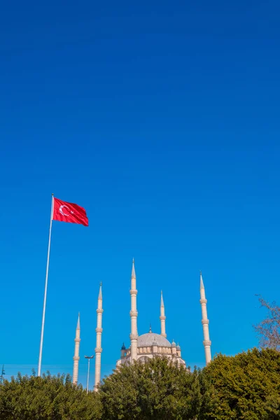 Mosquée Islamique Avec Palmiers Adana Seyhan Ville Turquie Ciel Bleu — Photo