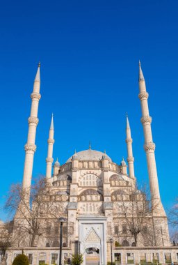 Adana'da palmiye ağaçlarıyla İslam Camii, Türkiye'nin Seyhan ilçesinde mavi gökyüzü adana'ya seyahat edin. Sabancı Merkez Camii. İslam ve Müslüman sembolü.