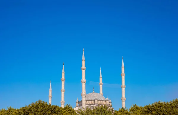 伊斯兰清真寺与棕榈树在阿达纳 土耳其塞汉市在蓝天旅行到阿达纳 萨班奇中央清真寺伊斯兰教和穆斯林符号 — 图库照片