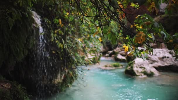 Dschungel-Landschaft mit fließendem Wasser von Kaskaden-Wasserfall in der Herbstsaison am tiefen tropischen Regenwald . — Stockvideo