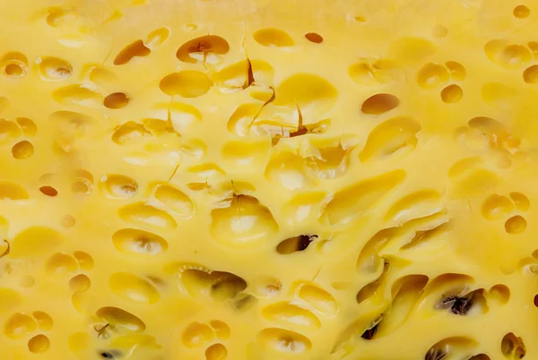 Patrón Fondo Textura Queso Suizo Queso Cheddar Amarillo Envejecido Sin — Foto de Stock