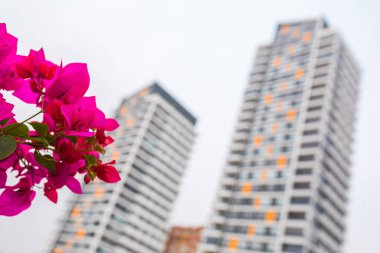 Yeni çok katlı konut apartman apartmanlar. Mortgage ve inşaat arka plan konsept görüntüsü.