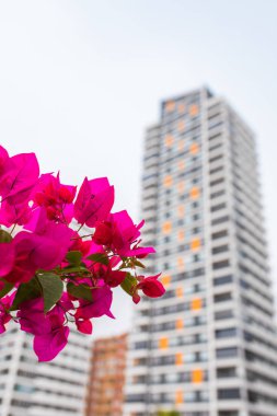 Yeni çok katlı konut apartman apartmanlar. Mortgage ve inşaat arka plan konsept görüntüsü.