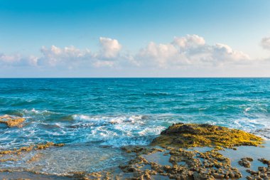 Türkiye 'nin Bodrum plajında Akdeniz ya da Ege kıyıları, kıyı ya da körfez kıyıları kaya ve dalgalarla kaplı. Mavi deniz, okyanus ve ağaçlarla dolu yaz günü manzarası. Türkiye 'de tatil ve tatil.