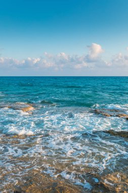Türkiye 'nin Bodrum plajında Akdeniz ya da Ege kıyıları, kıyı ya da körfez kıyıları kaya ve dalgalarla kaplı. Mavi deniz, okyanus ve ağaçlarla dolu yaz günü manzarası. Türkiye 'de tatil ve tatil.