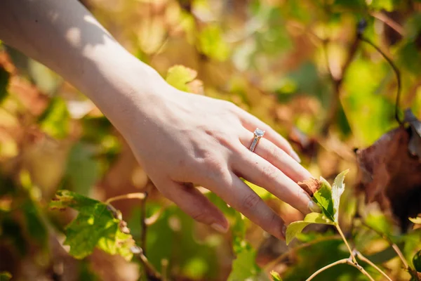 Bride in vineyard at Wedding day bridal concept image. Wedding diamond ring on bride\'s finger and hand.