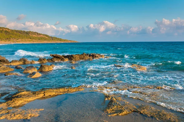 Türkiye 'nin Bodrum plajında Akdeniz ya da Ege kıyıları, kıyı ya da körfez kıyıları kaya ve dalgalarla kaplı. Mavi deniz, okyanus ve ağaçlarla dolu yaz günü manzarası. Türkiye 'de tatil ve tatil.