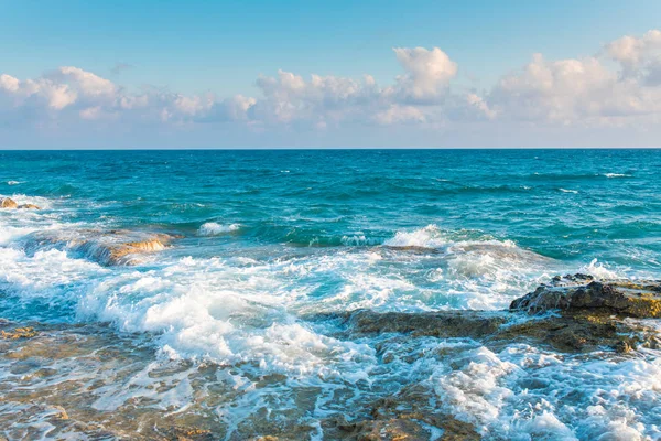 Türkiye 'nin Bodrum plajında Akdeniz ya da Ege kıyıları, kıyı ya da körfez kıyıları kaya ve dalgalarla kaplı. Mavi deniz, okyanus ve ağaçlarla dolu yaz günü manzarası. Türkiye 'de tatil ve tatil.