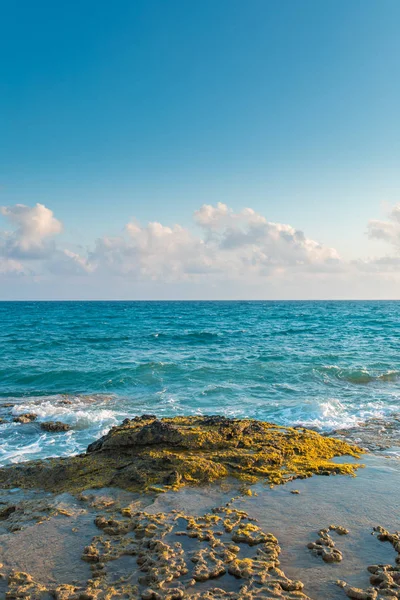 Türkiye 'nin Bodrum plajında Akdeniz ya da Ege kıyıları, kıyı ya da körfez kıyıları kaya ve dalgalarla kaplı. Mavi deniz, okyanus ve ağaçlarla dolu yaz günü manzarası. Türkiye 'de tatil ve tatil.