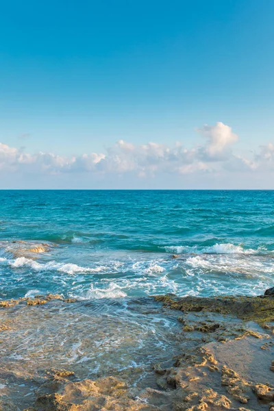 Türkiye 'nin Bodrum plajında Akdeniz ya da Ege kıyıları, kıyı ya da körfez kıyıları kaya ve dalgalarla kaplı. Mavi deniz, okyanus ve ağaçlarla dolu yaz günü manzarası. Türkiye 'de tatil ve tatil.