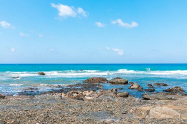 Türkiye 'nin Bodrum plajında Akdeniz ya da Ege kıyıları, kıyı ya da körfez kıyıları kaya ve dalgalarla kaplı. Mavi deniz, okyanus ve ağaçlarla dolu yaz günü manzarası. Türkiye 'de tatil ve tatil.