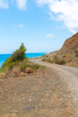 Türkiye 'nin Bodrum plajında Akdeniz ya da Ege kıyıları, kıyı ya da körfez kıyıları kaya ve dalgalarla kaplı. Mavi deniz, okyanus ve ağaçlarla dolu yaz günü manzarası. Türkiye 'de tatil ve tatil.