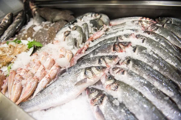 Seafood on ice at Fish Market. Fresh and raw fishes on ice.