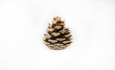 Beyaz arka planda çam kozalağı izole edilmiş. Yeni yıl, Noel ya da Noel tatili geçmişi. 