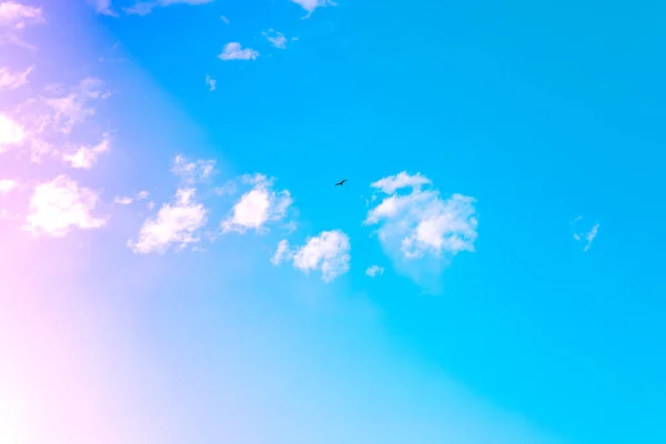 Clean Blue sky with colorful pink or white color clouds in the summer season. Blue sky background texture with clouds.