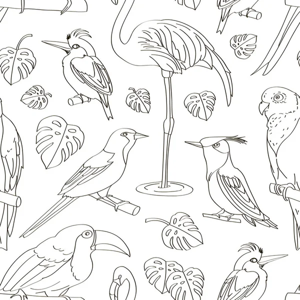 Exotic birds pattern — Stock Vector